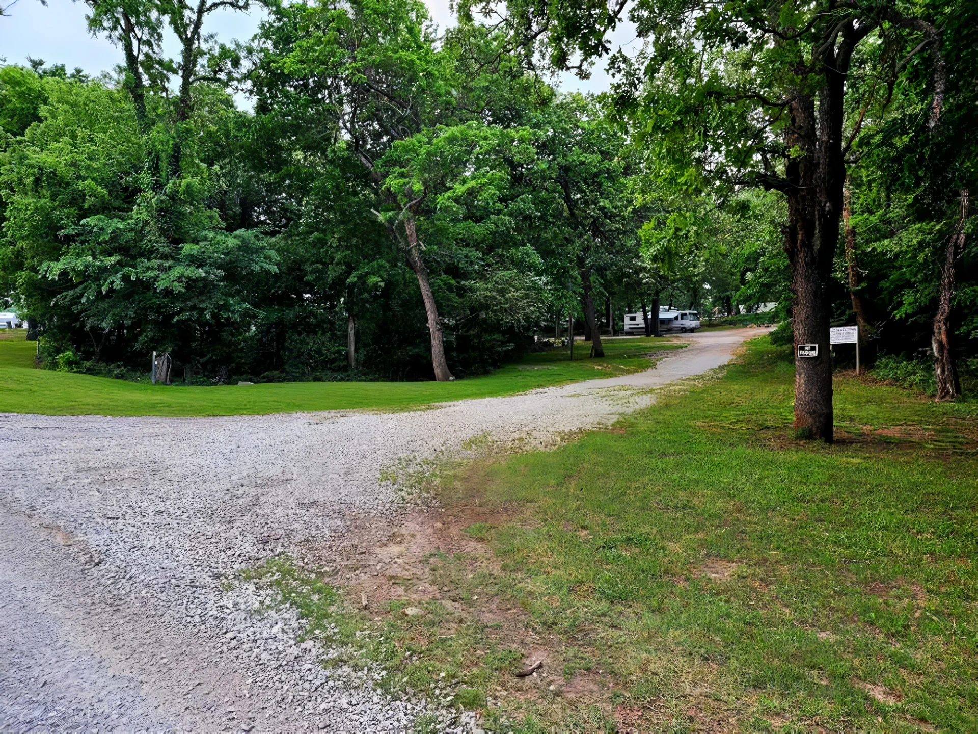 A rural dirt road forks into two paths surrounded by lush green trees and grass. A campground with trailers is visible through the trees in the distance. A mailbox is mounted on a tree to the right of the path.
